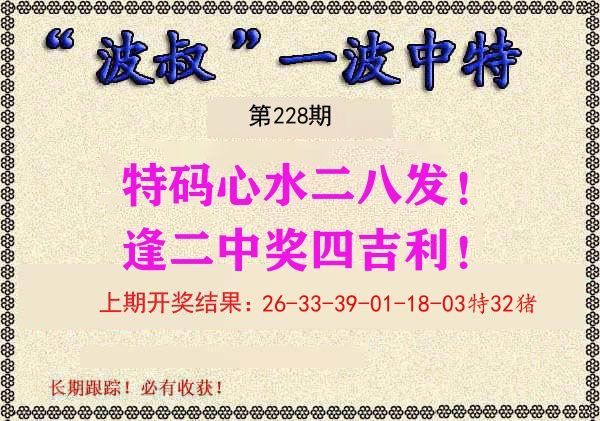 波叔中特 第228期