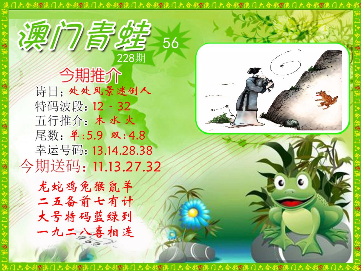 青蛙系列56 第228期