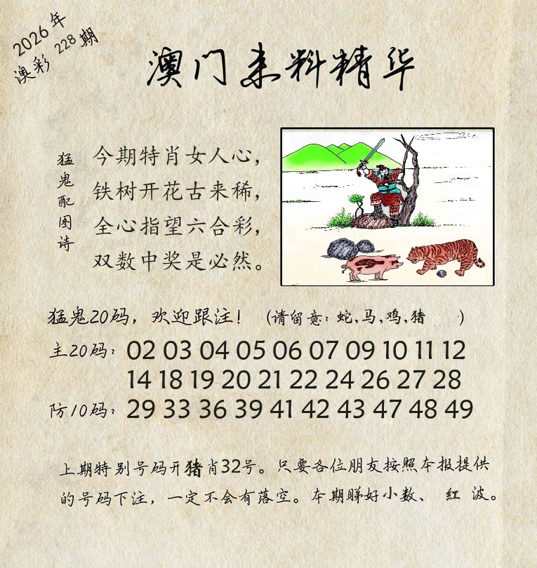 精华来料 第228期