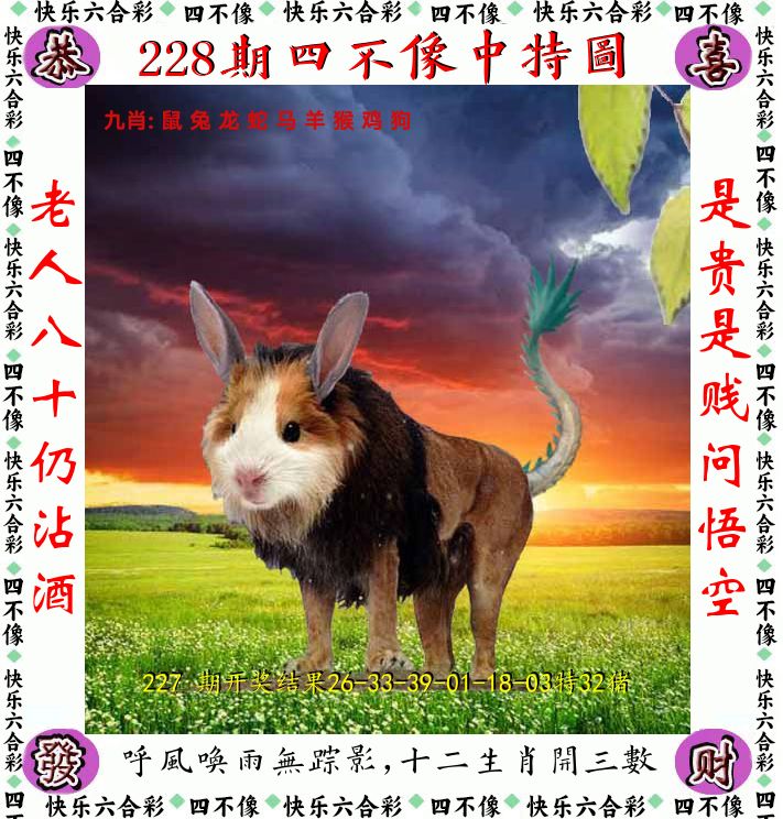 四不像 第228期