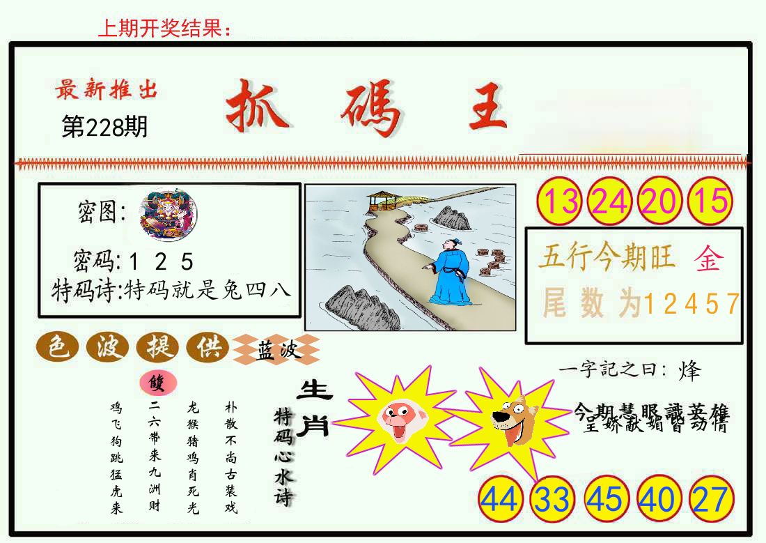 最新抓码王 第228期