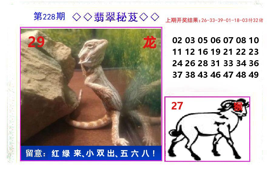翡翠秘芨 第228期
