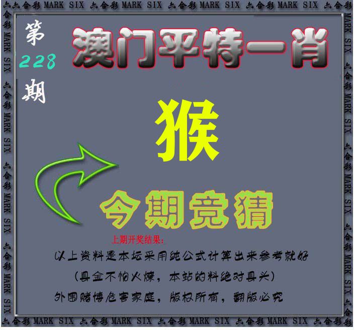 今期竞猜 第228期