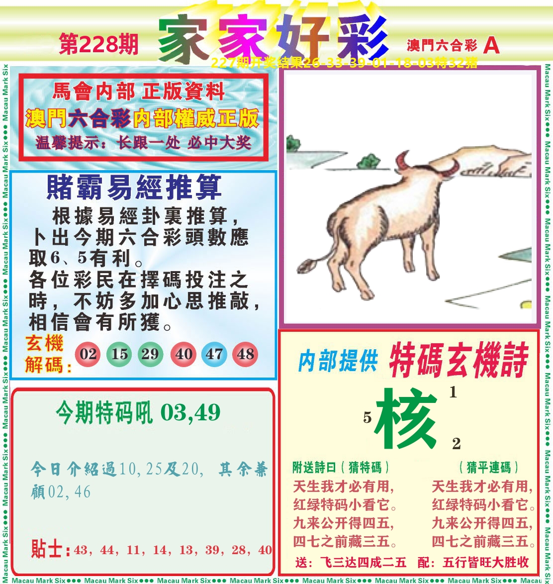 家家好彩A 第228期