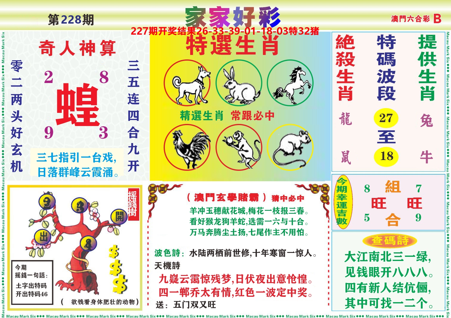 家家好彩B 第228期