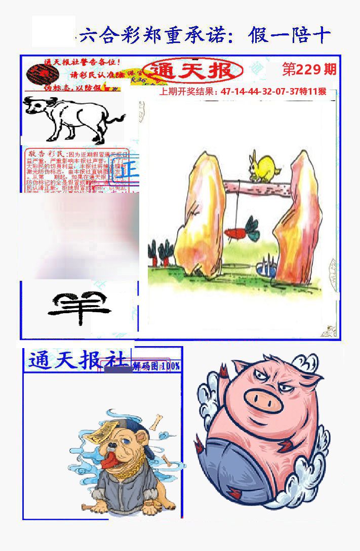 通天报 第229期
