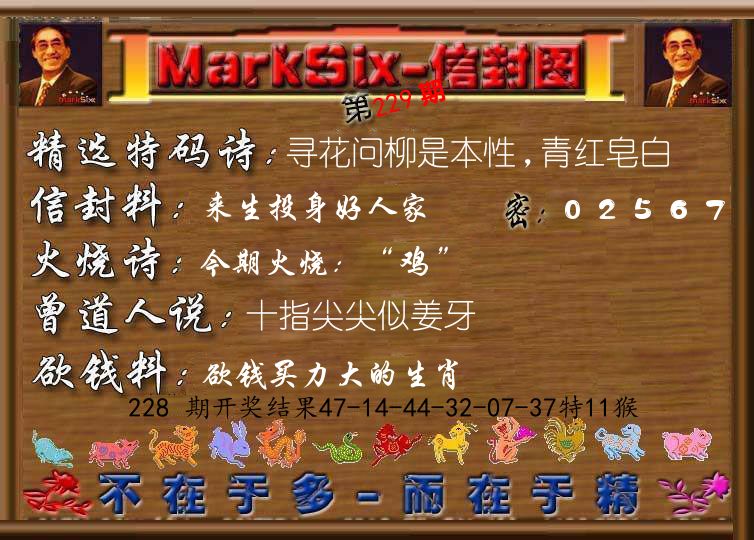 信封图《彩》 第229期