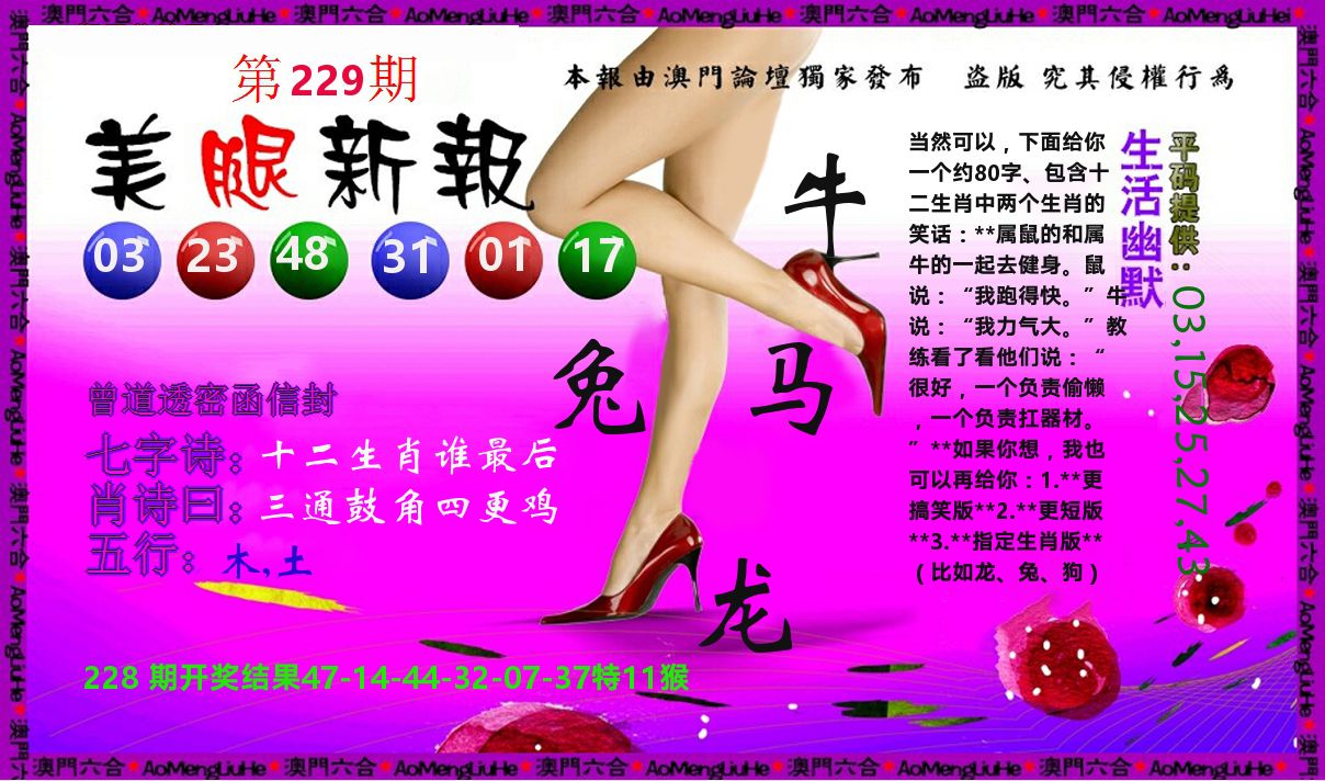 美腿新报 第229期