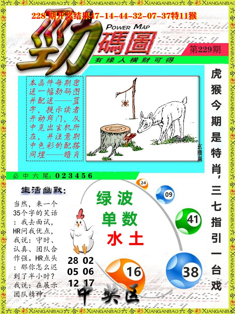 劲码图 第229期