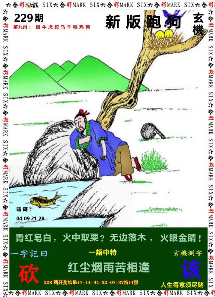 悟入其图 第229期