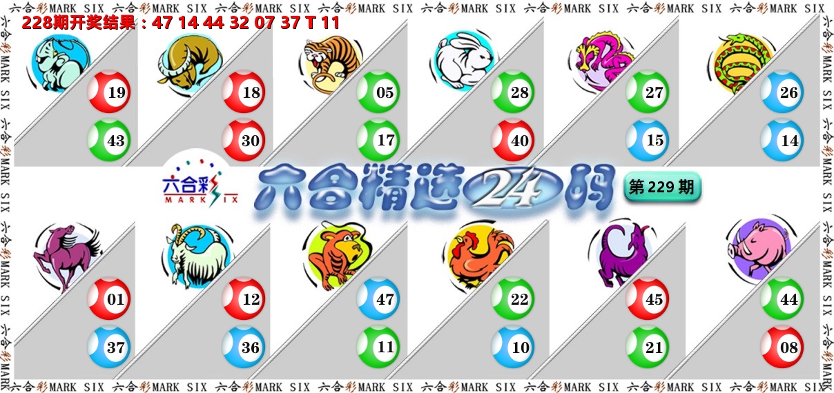 六合精选24码 第229期