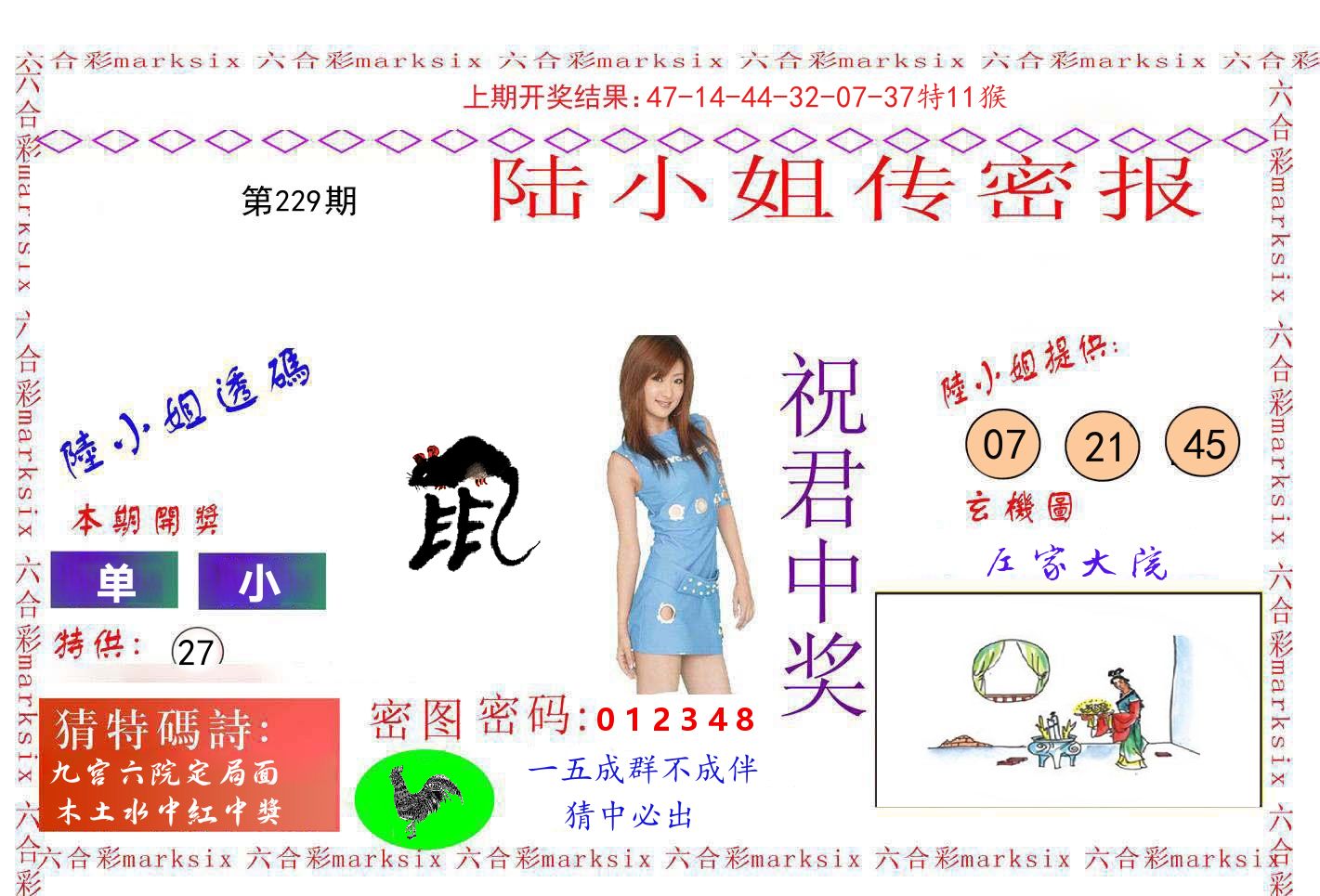 陆小姐密报 第229期
