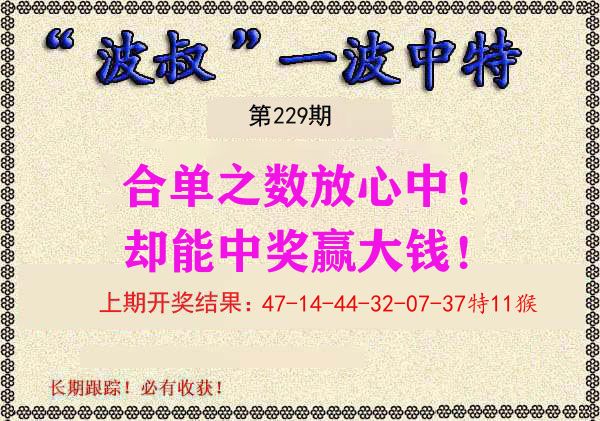 波叔中特 第229期