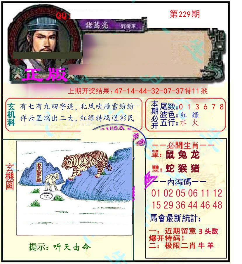诸葛亮玄机 第229期