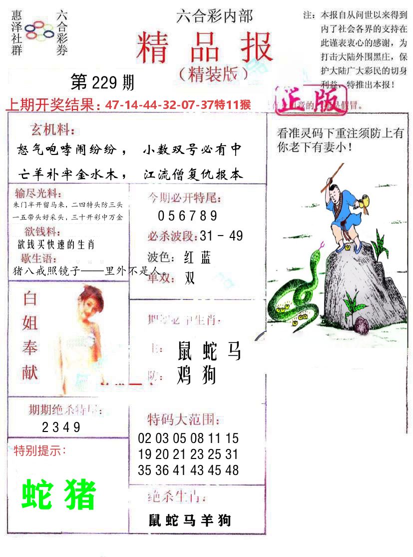 精品报 第229期