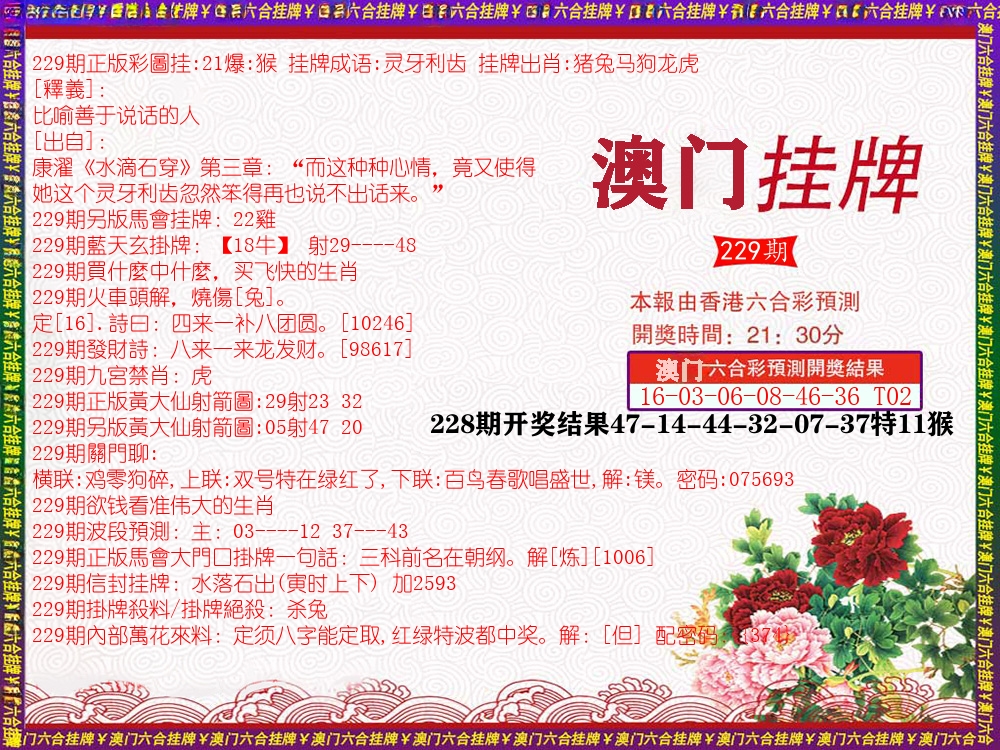 澳门挂牌 第229期