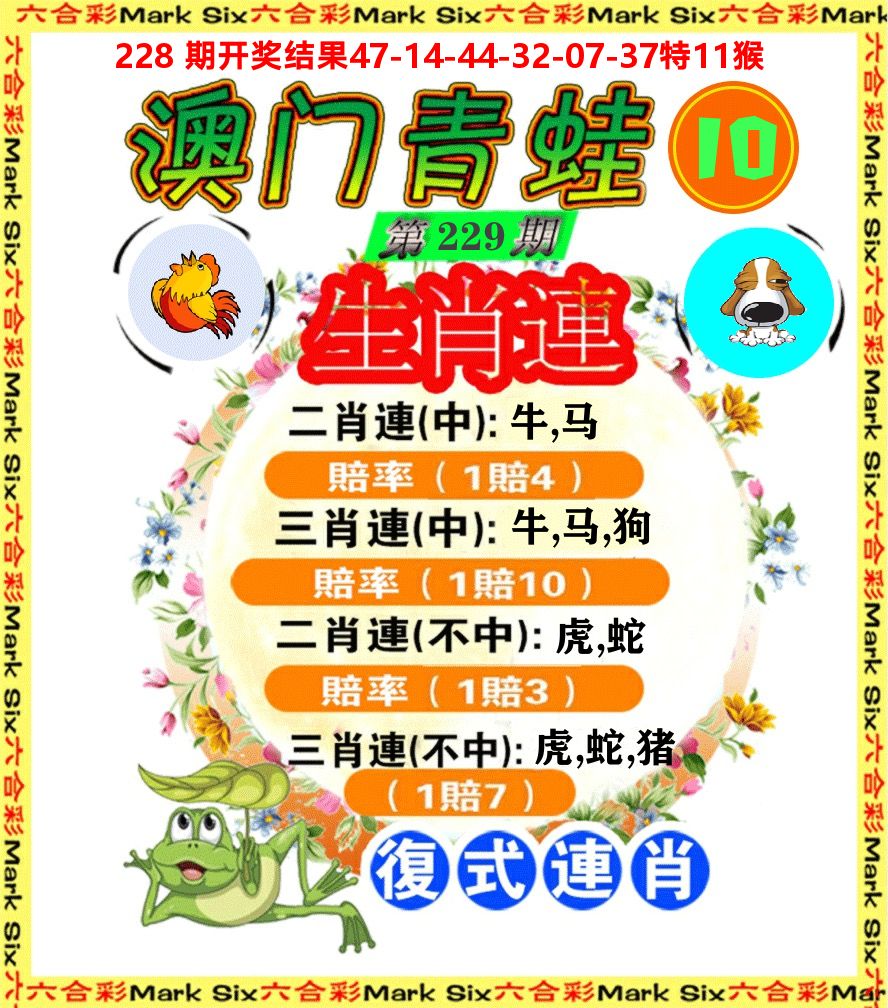 青蛙系列10 第229期