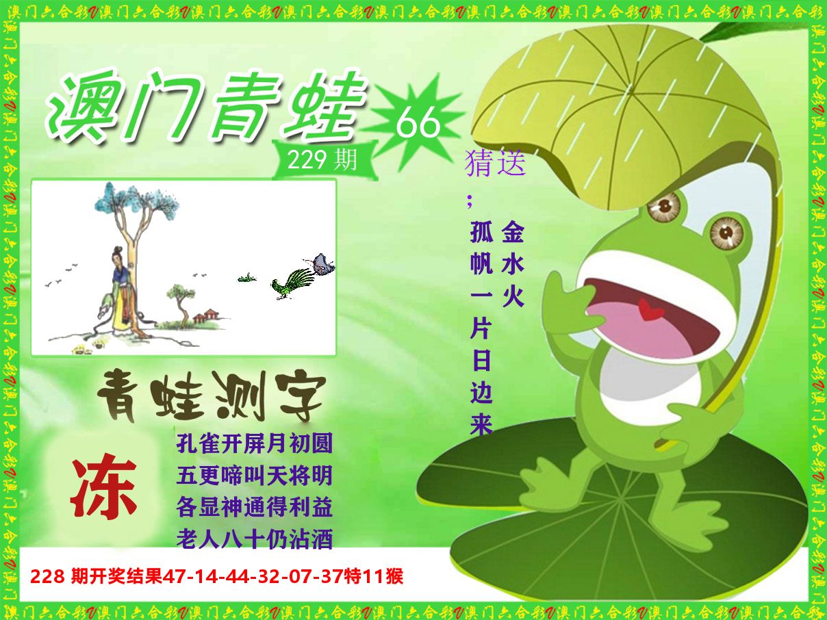 青蛙系列66 第229期
