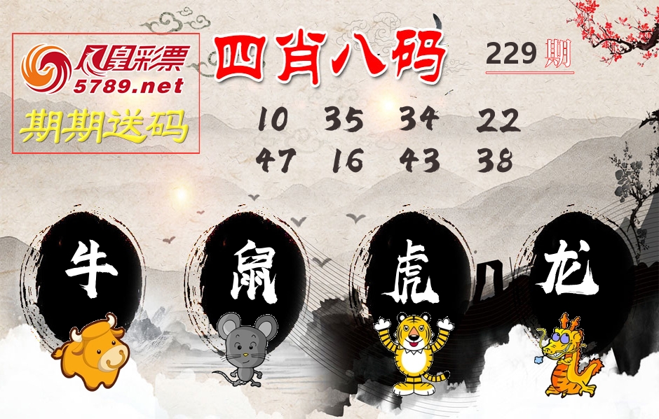 四肖八码期期送 第229期