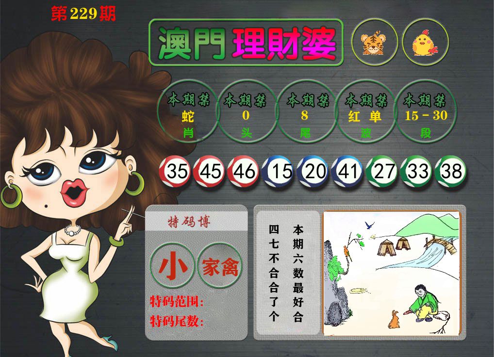 理财婆 第229期