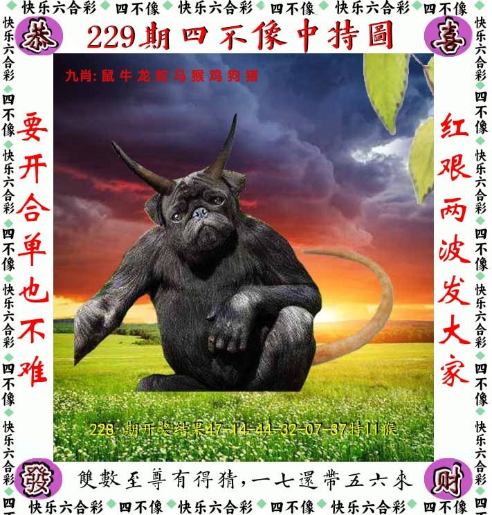 四不像 第229期