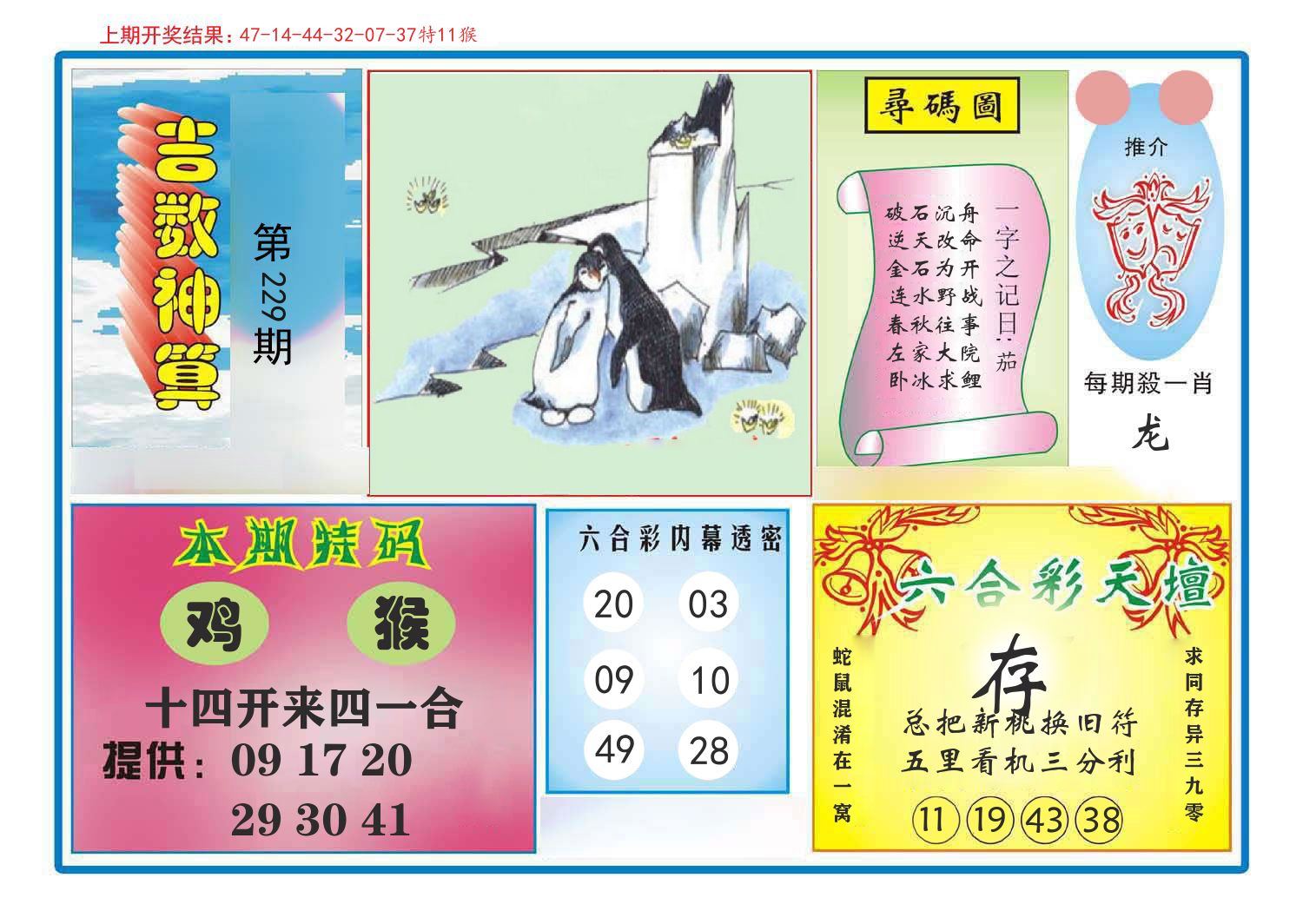 吉数神算 第229期
