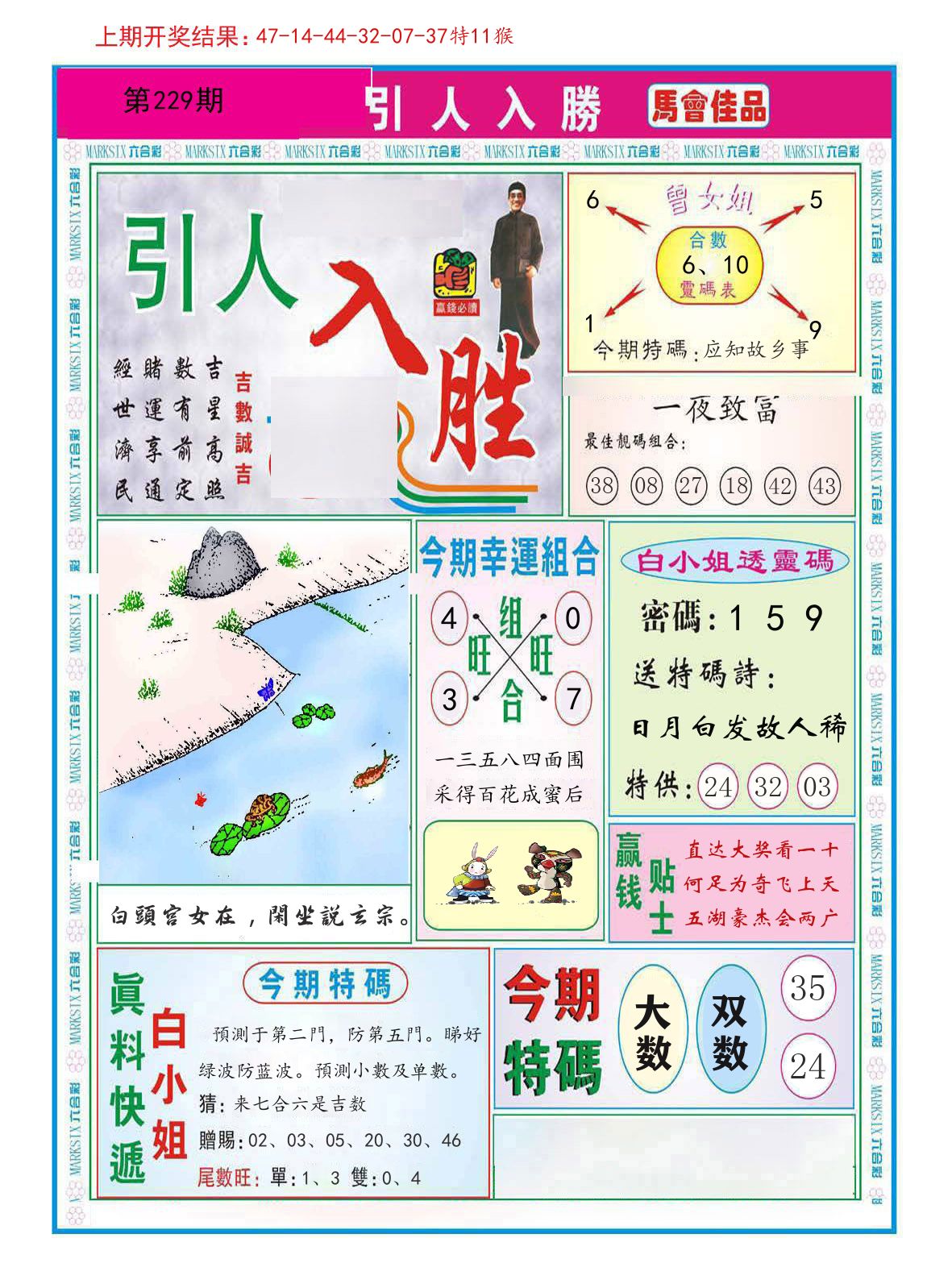 引人入胜 第229期