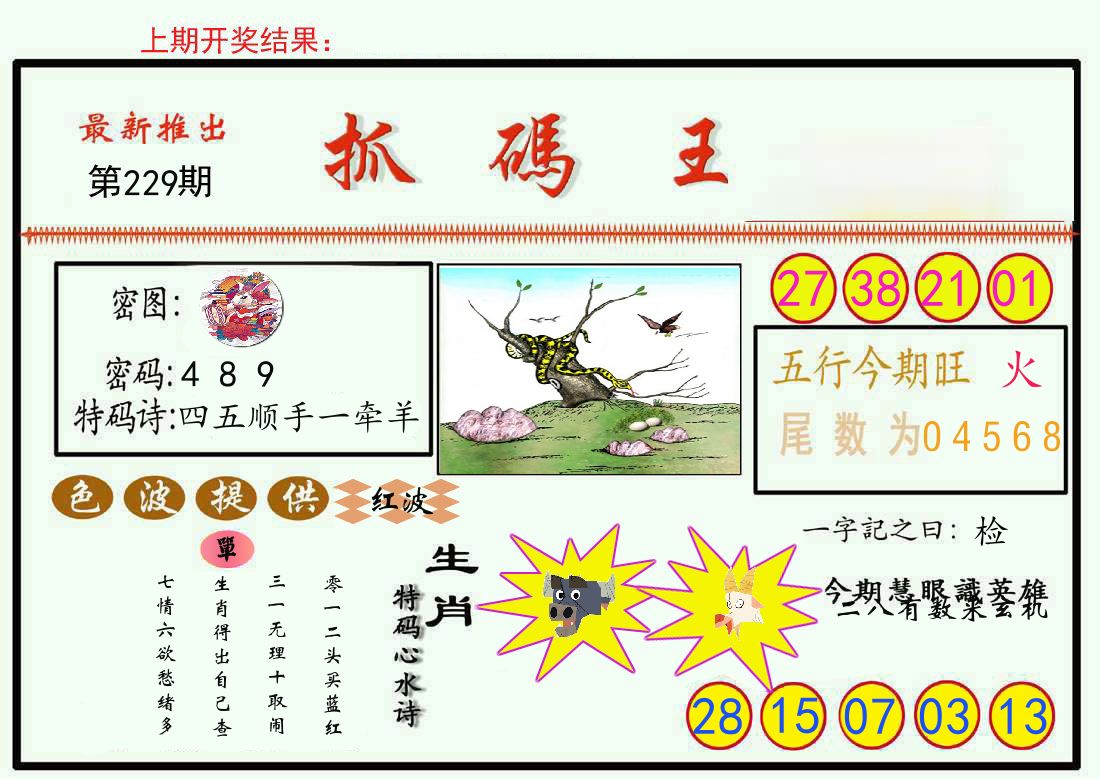 最新抓码王 第229期