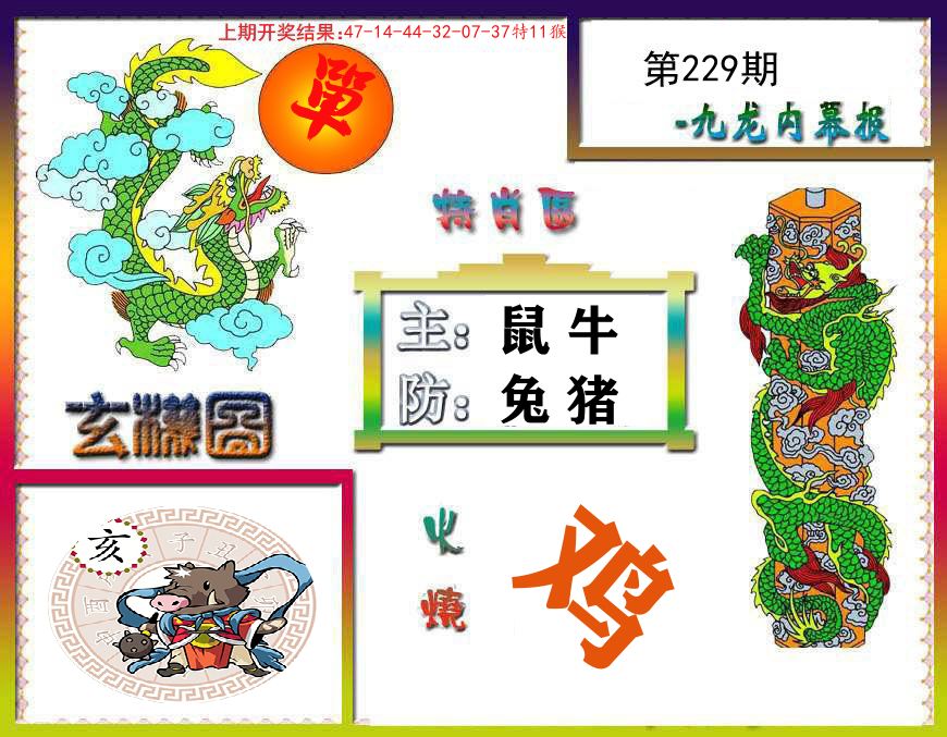 九龙内幕报 第229期