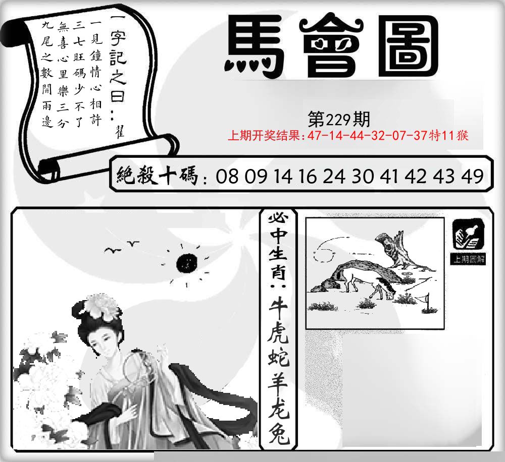 马会图 第229期