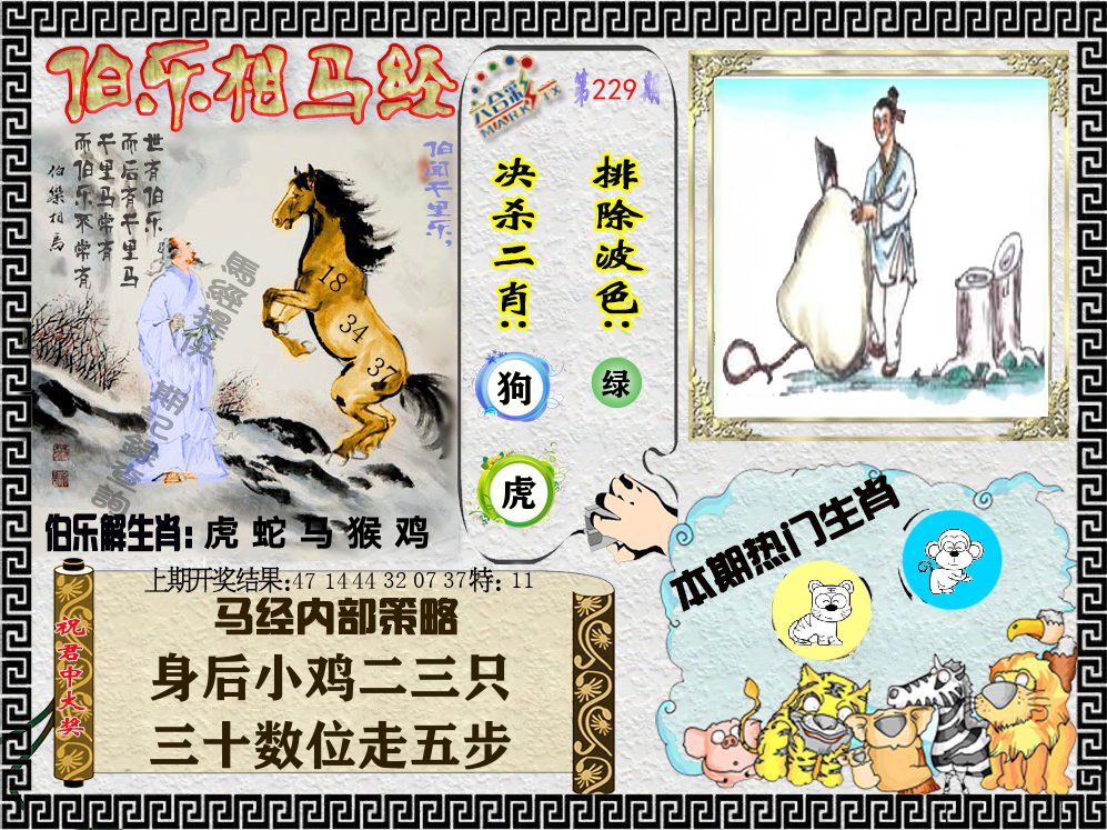 伯乐相马经 第229期