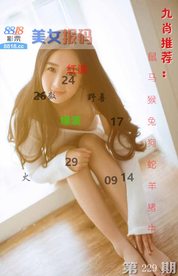 美女报码 第229期