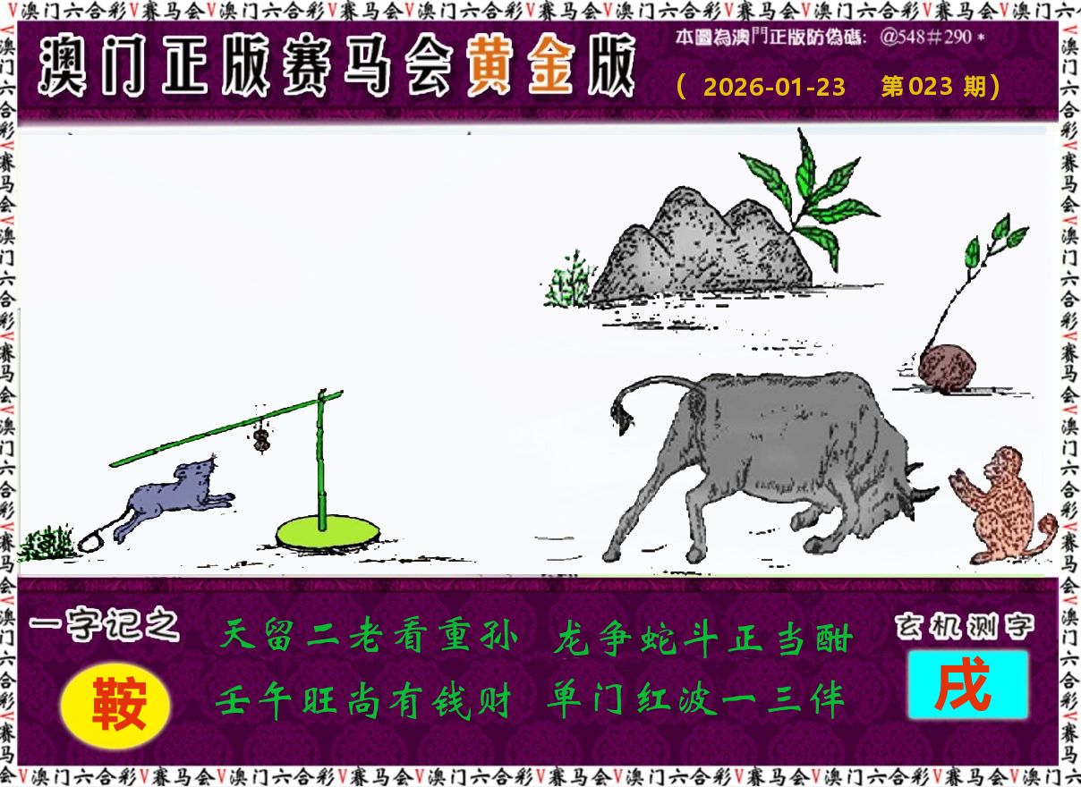赛马会黄金版 第23期