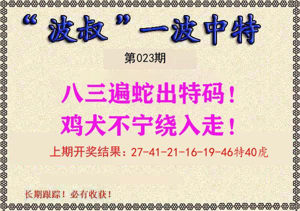 波叔中特 第23期