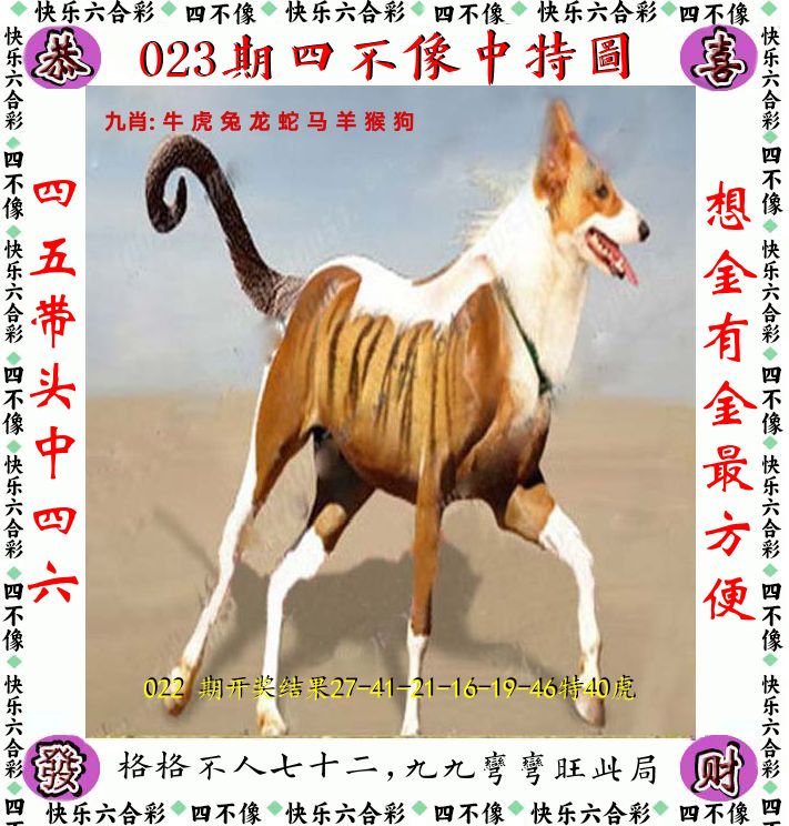 四不像 第23期