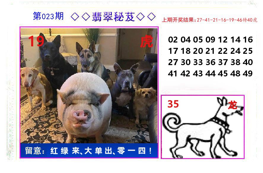 翡翠秘芨 第23期
