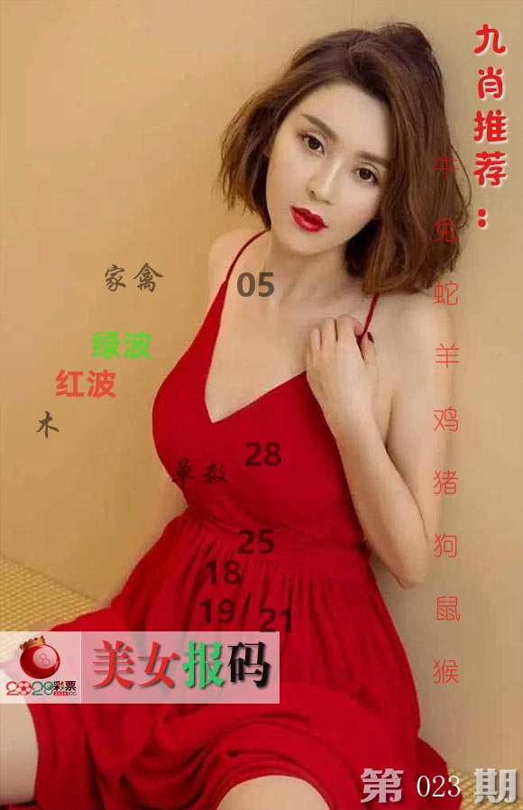 美女报码 第23期