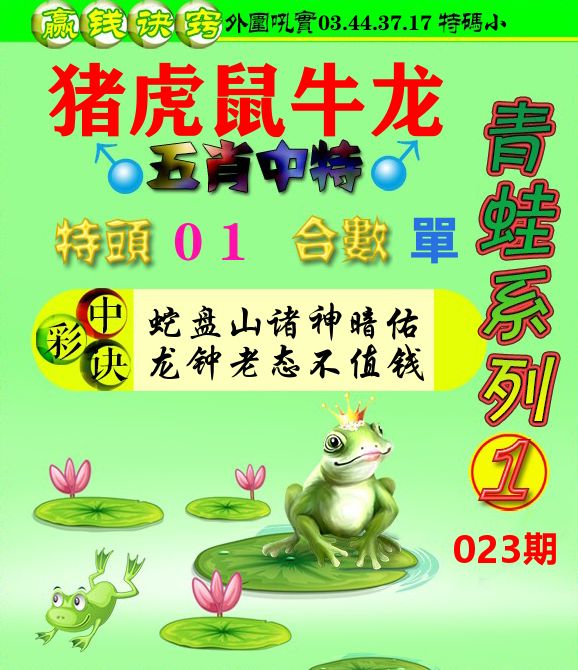 青蛙彩图 第23期