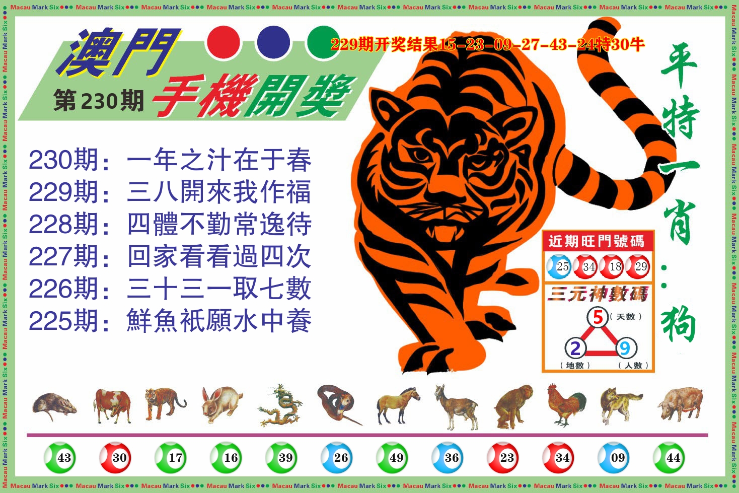 澳门开奖报 第230期