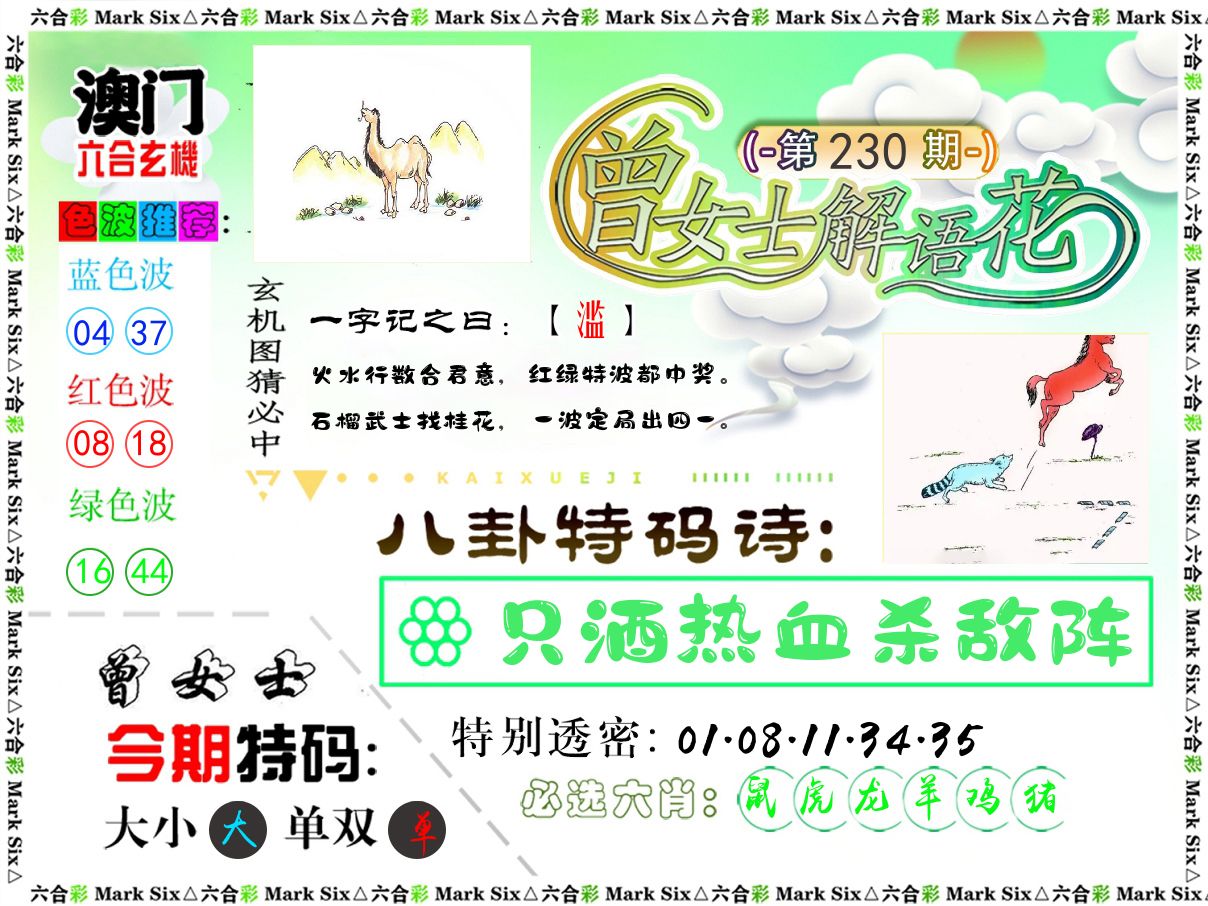 曾女士解语花 第230期