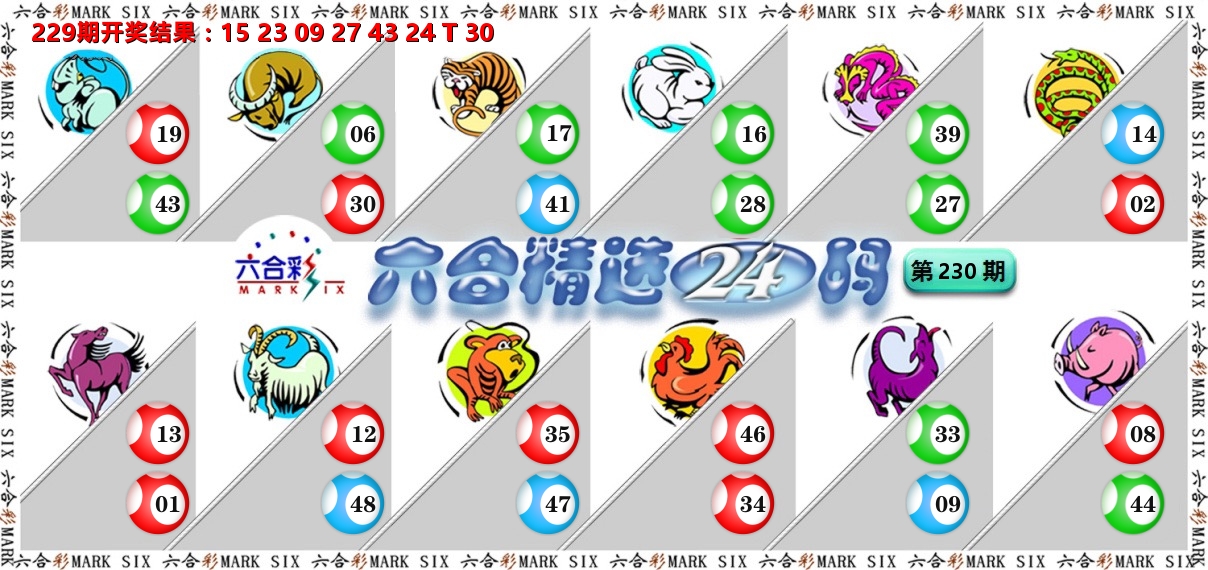 六合精选24码 第230期