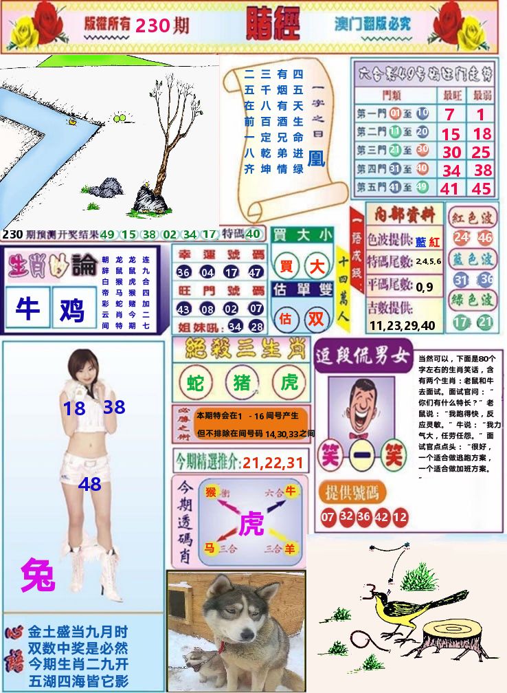 澳门赌经 第230期