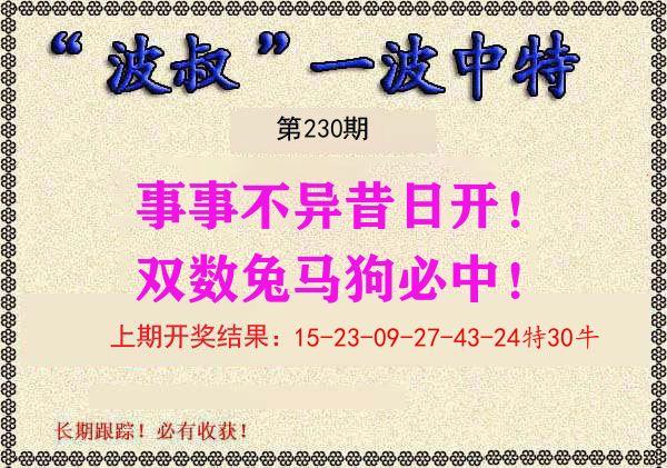 波叔中特 第230期