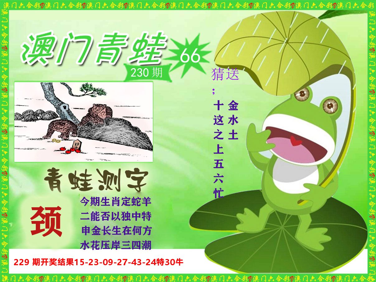 青蛙系列66 第230期