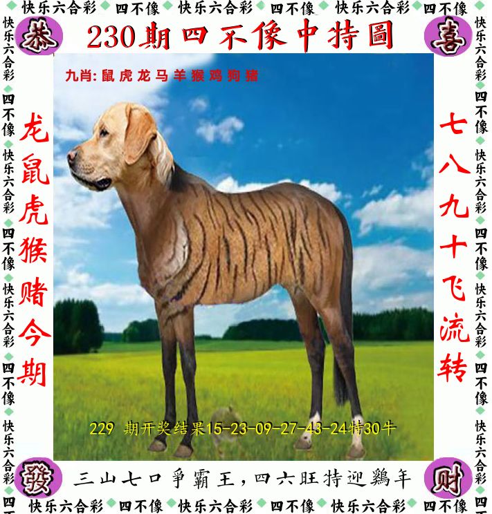 四不像 第230期