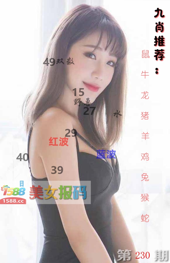 美女报码 第230期