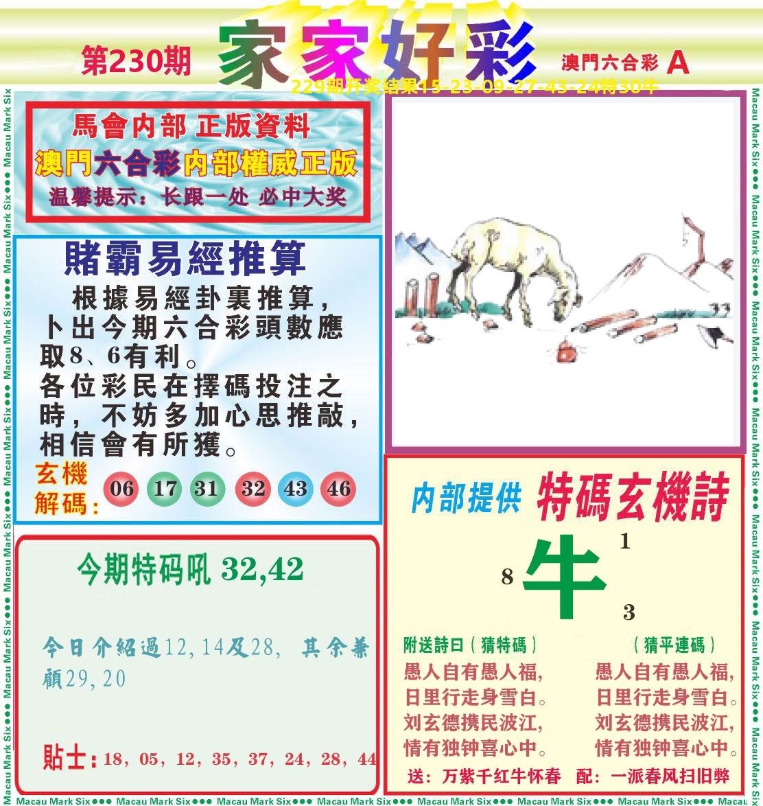 家家好彩A 第230期