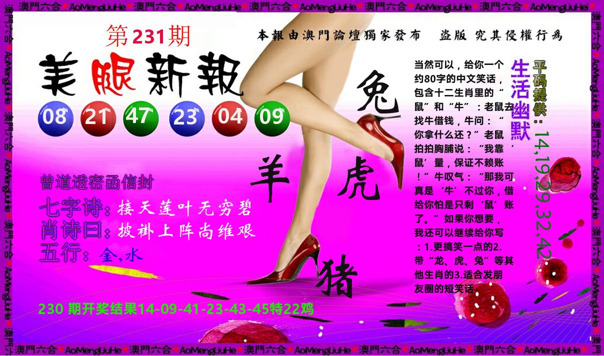 美腿新报 第231期