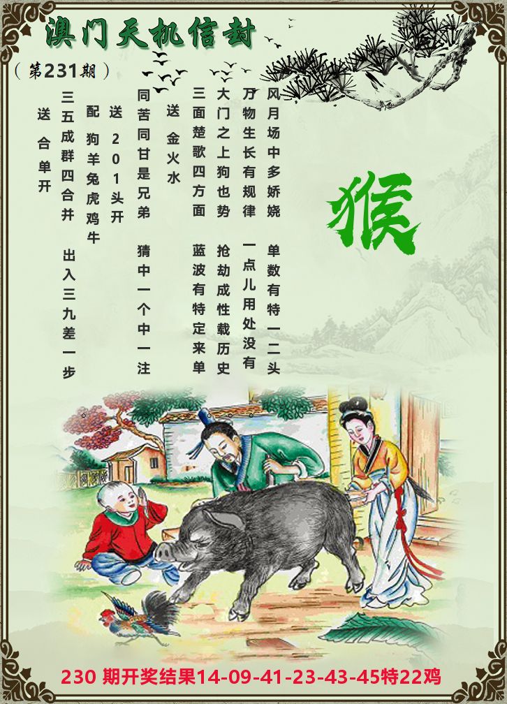 天机信封 第231期