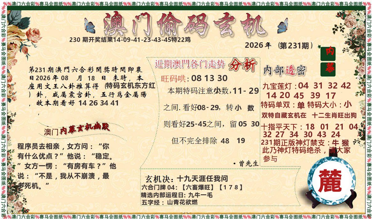 偷码玄机 第231期